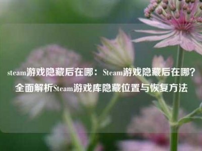 steam游戏隐藏后在哪：Steam游戏隐藏后在哪？全面解析Steam游戏库隐藏位置与恢复方法