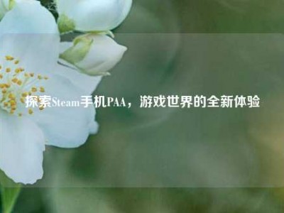 探索Steam手机PAA，游戏世界的全新体验