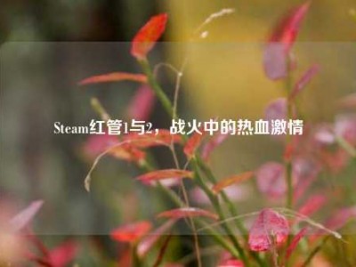 Steam红管1与2，战火中的热血激情