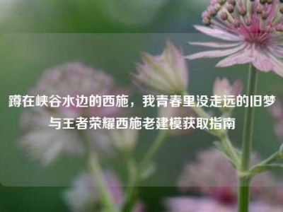 蹲在峡谷水边的西施，我青春里没走远的旧梦与王者荣耀西施老建模获取指南