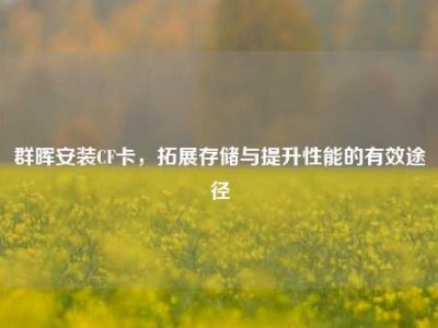 群晖安装CF卡，拓展存储与提升性能的有效途径