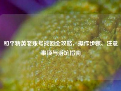 和平精英老账号找回全攻略，操作步骤、注意事项与避坑指南