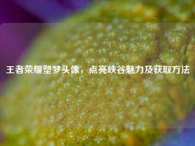 王者荣耀塑梦头像，点亮峡谷魅力及获取方法