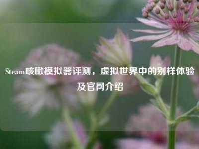 Steam咳嗽模拟器评测，虚拟世界中的别样体验及官网介绍