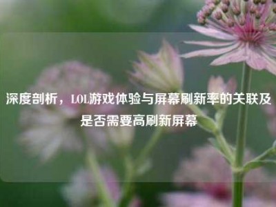 深度剖析，LOL游戏体验与屏幕刷新率的关联及是否需要高刷新屏幕