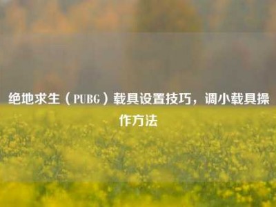 绝地求生（PUBG）载具设置技巧，调小载具操作方法
