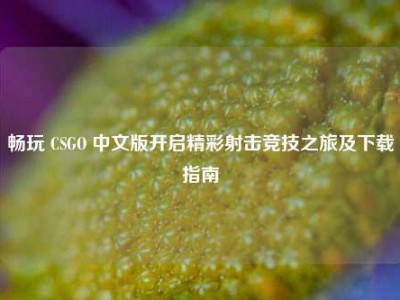 畅玩 CSGO 中文版开启精彩射击竞技之旅及下载指南