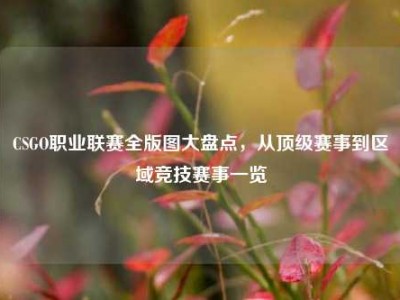 CSGO职业联赛全版图大盘点，从顶级赛事到区域竞技赛事一览