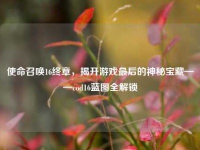 使命召唤16终章，揭开游戏最后的神秘宝藏——cod16蓝图全解锁
