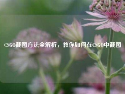 CSGO截图方法全解析，教你如何在CSGO中截图