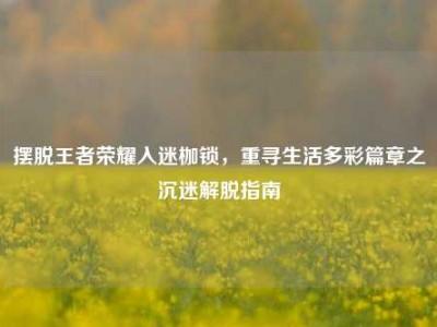 摆脱王者荣耀入迷枷锁，重寻生活多彩篇章之沉迷解脱指南