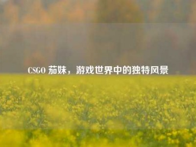 CSGO 茄妹，游戏世界中的独特风景