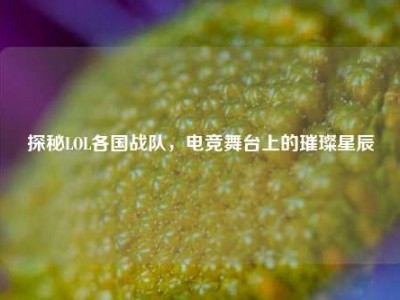 探秘LOL各国战队，电竞舞台上的璀璨星辰