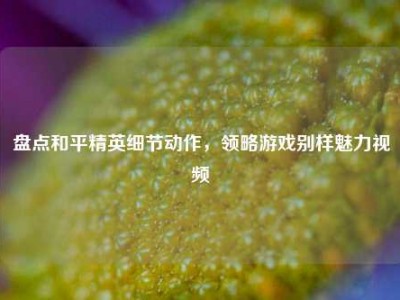 盘点和平精英细节动作，领略游戏别样魅力视频