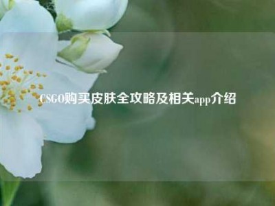 CSGO购买皮肤全攻略及相关app介绍