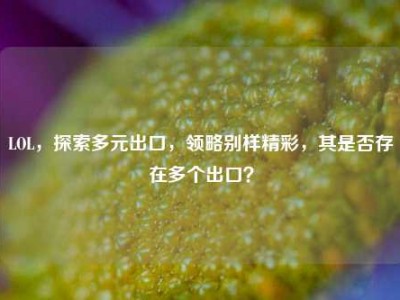 LOL，探索多元出口，领略别样精彩，其是否存在多个出口？