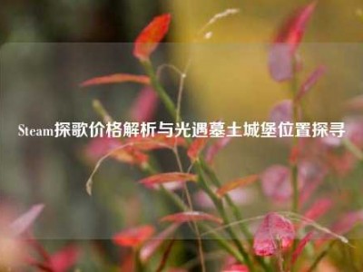 Steam探歌价格解析与光遇墓土城堡位置探寻
