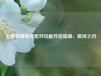 王者荣耀银河配对功能开启指南，银河之约