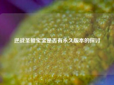 逆战圣鲲宝宝是否有永久版本的探讨