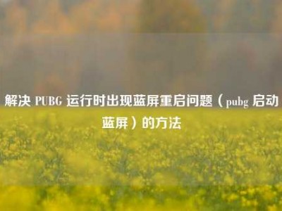 解决 PUBG 运行时出现蓝屏重启问题（pubg 启动蓝屏）的方法