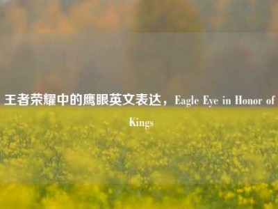 王者荣耀中的鹰眼英文表达，Eagle Eye in Honor of Kings