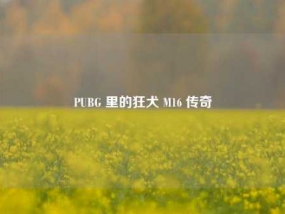 PUBG 里的狂犬 M16 传奇