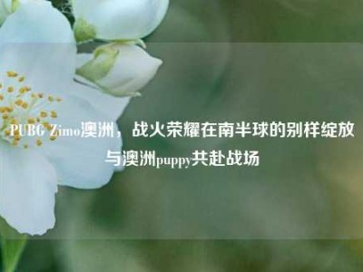 PUBG Zimo澳洲，战火荣耀在南半球的别样绽放与澳洲puppy共赴战场