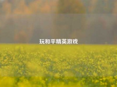 玩和平精英游戏