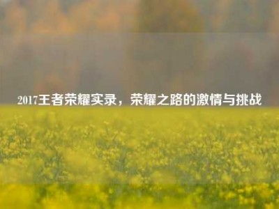 2017王者荣耀实录，荣耀之路的激情与挑战
