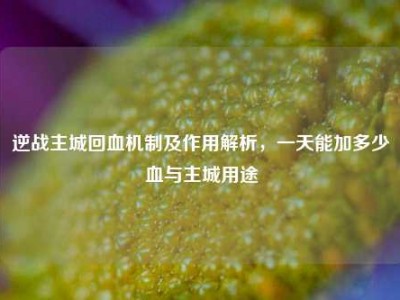 逆战主城回血机制及作用解析，一天能加多少血与主城用途