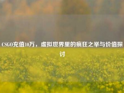 CSGO充值10万，虚拟世界里的疯狂之举与价值探讨