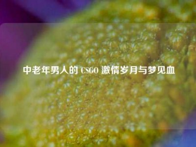 中老年男人的 CSGO 激情岁月与梦见血