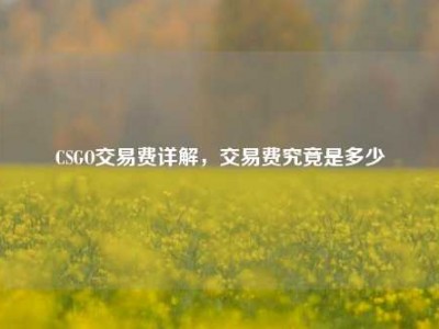 CSGO交易费详解，交易费究竟是多少