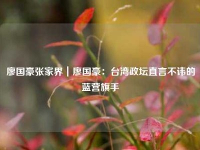 廖国豪张家界｜廖国豪：台湾政坛直言不讳的蓝营旗手