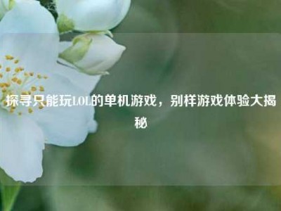 探寻只能玩LOL的单机游戏，别样游戏体验大揭秘