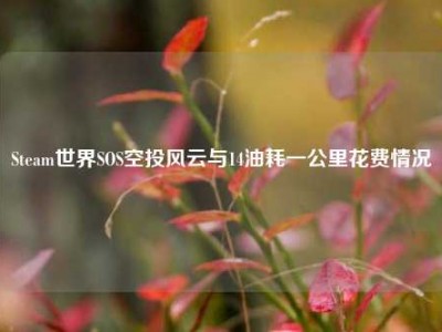 Steam世界SOS空投风云与14油耗一公里花费情况