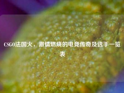 CSGO法国火，激情燃烧的电竞传奇及选手一览表