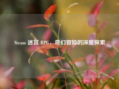Steam 迷宫 RPG，奇幻冒险的深度探索