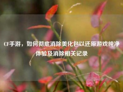 CF手游，如何彻底消除美化包以还原游戏纯净体验及消除相关记录