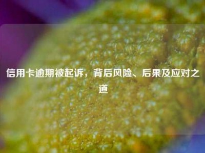 信用卡逾期被起诉，背后风险、后果及应对之道