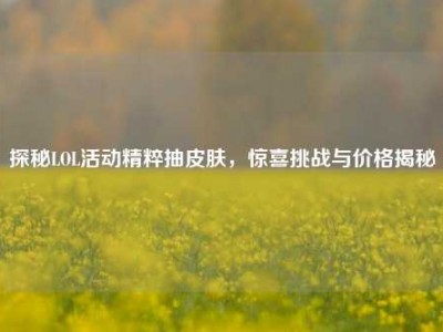 探秘LOL活动精粹抽皮肤，惊喜挑战与价格揭秘