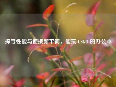 探寻性能与便携新平衡，能玩 CSGO 的办公本