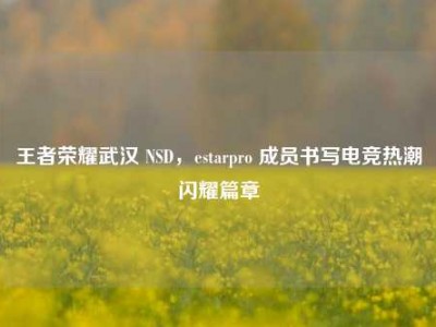 王者荣耀武汉 NSD，estarpro 成员书写电竞热潮闪耀篇章