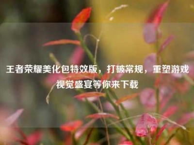 王者荣耀美化包特效版，打破常规，重塑游戏视觉盛宴等你来下载