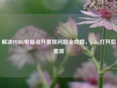 解决PUBG电脑点开黑屏问题全攻略，pubg打开后黑屏