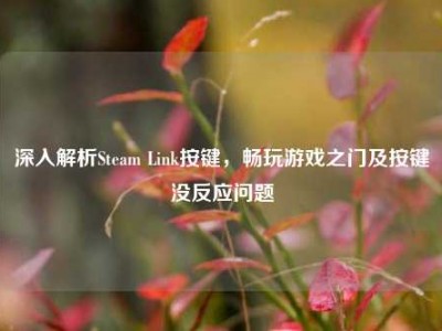 深入解析Steam Link按键，畅玩游戏之门及按键没反应问题