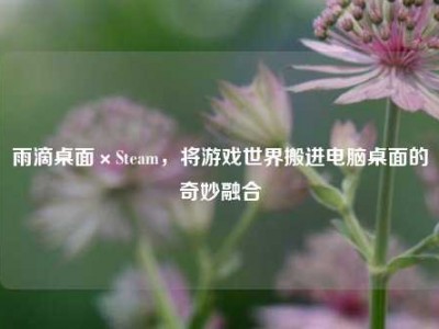 雨滴桌面×Steam，将游戏世界搬进电脑桌面的奇妙融合