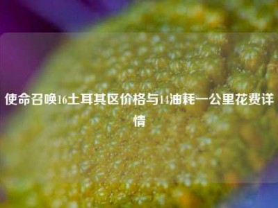 使命召唤16土耳其区价格与14油耗一公里花费详情