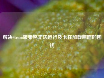 解决Steam版秦殇无法运行及卡在加载画面的困扰