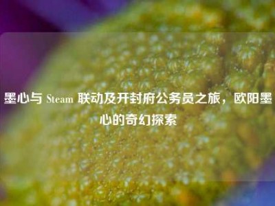 墨心与 Steam 联动及开封府公务员之旅，欧阳墨心的奇幻探索
